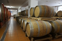 DSC01995 (1024x681).jpg